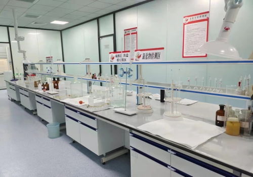 河北邢臺 “小巨人”成香餑餑，領跑產業技術開發加速度